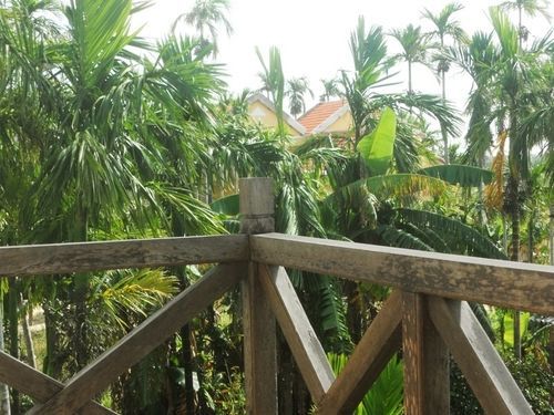 Lila Homestay Хойан Экстерьер фото